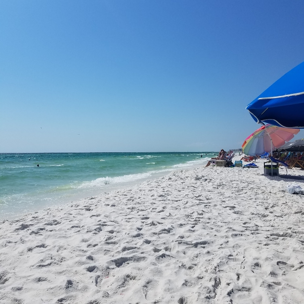 Meet your Posher, Sonya